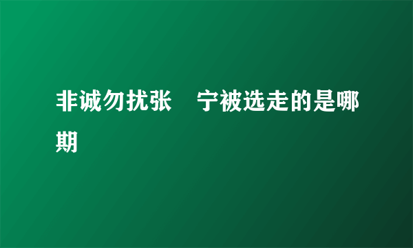 非诚勿扰张奀宁被选走的是哪期