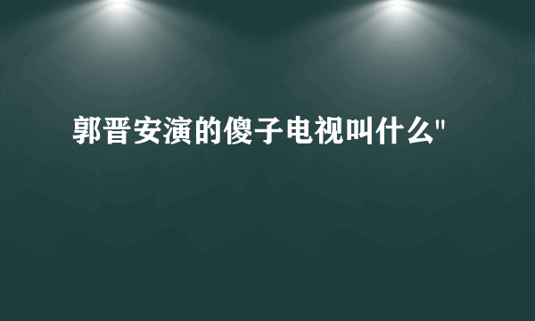 郭晋安演的傻子电视叫什么