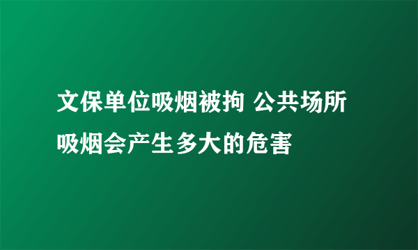 文保单位吸烟被拘 公共场所吸烟会产生多大的危害