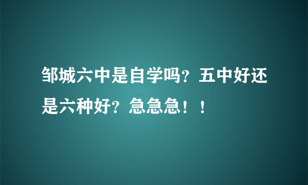 邹城六中是自学吗？五中好还是六种好？急急急！！