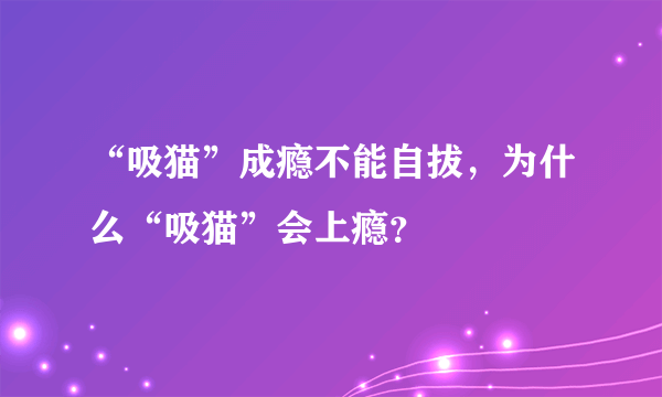 “吸猫”成瘾不能自拔，为什么“吸猫”会上瘾？