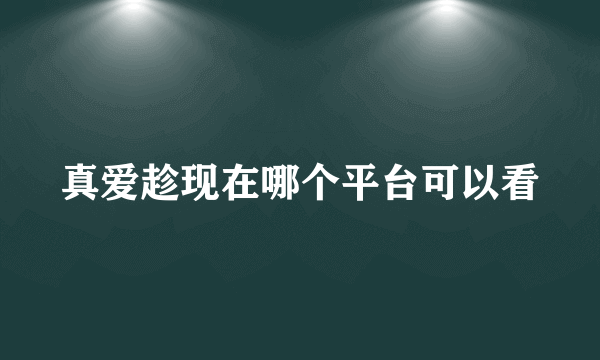 真爱趁现在哪个平台可以看