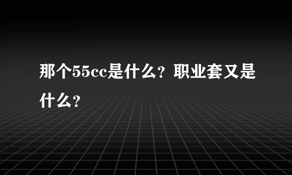 那个55cc是什么？职业套又是什么？