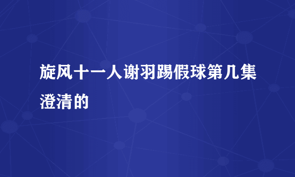 旋风十一人谢羽踢假球第几集澄清的