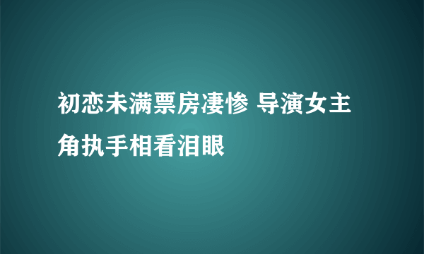 初恋未满票房凄惨 导演女主角执手相看泪眼