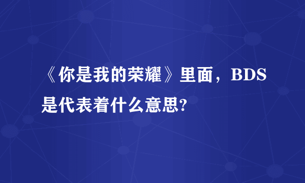 《你是我的荣耀》里面，BDS是代表着什么意思?