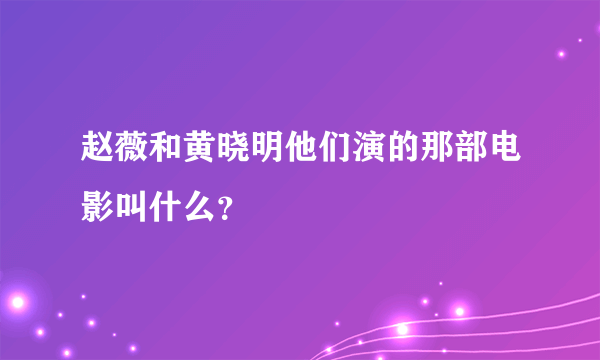 赵薇和黄晓明他们演的那部电影叫什么？