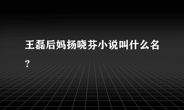 王磊后妈扬哓芬小说叫什么名？