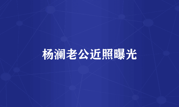 杨澜老公近照曝光