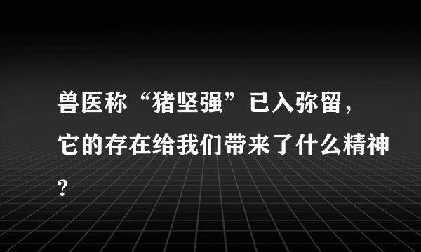 兽医称“猪坚强”已入弥留，它的存在给我们带来了什么精神？