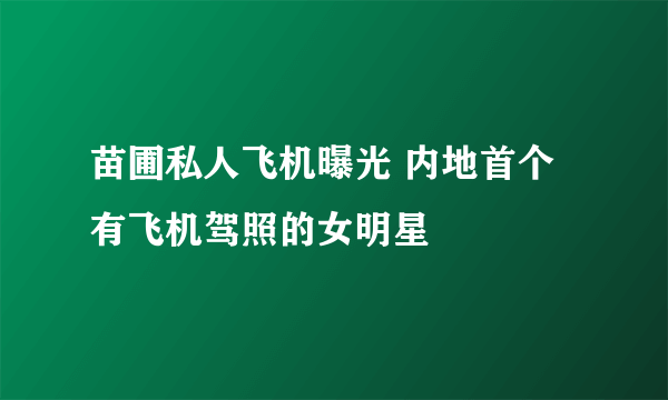 苗圃私人飞机曝光 内地首个有飞机驾照的女明星