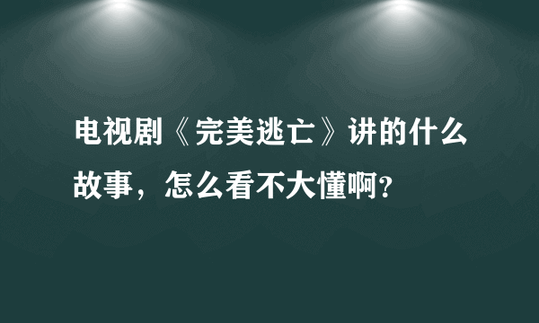 电视剧《完美逃亡》讲的什么故事，怎么看不大懂啊？