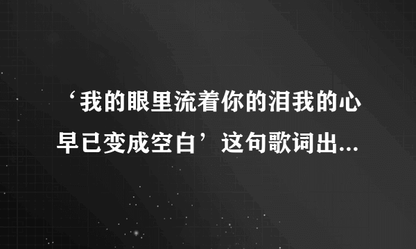 ‘我的眼里流着你的泪我的心早已变成空白’这句歌词出自哪首歌？