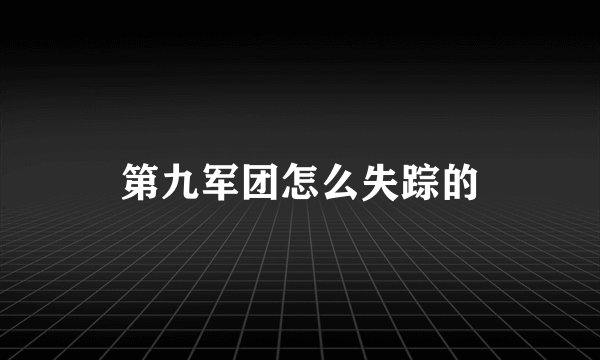 第九军团怎么失踪的