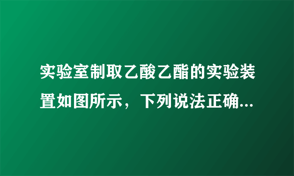 实验室制取乙酸乙酯的实验装置如图所示，下列说法正确的是（  ）A.试管甲中，依次加入的是浓硫酸、乙醇、乙酸