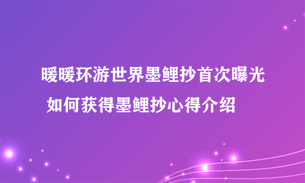 暖暖环游世界墨鲤抄首次曝光 如何获得墨鲤抄心得介绍