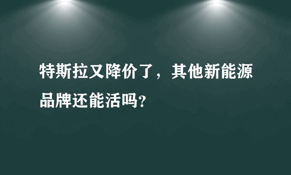 特斯拉又降价了，其他新能源品牌还能活吗？