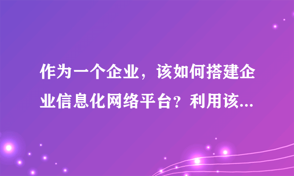 作为一个企业，该如何搭建企业信息化网络平台？利用该平台企业可以做什么？