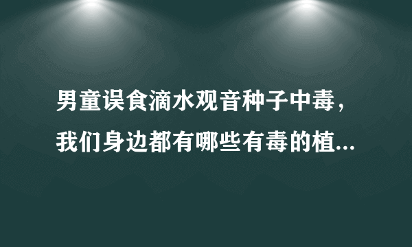 男童误食滴水观音种子中毒，我们身边都有哪些有毒的植物需要注意？