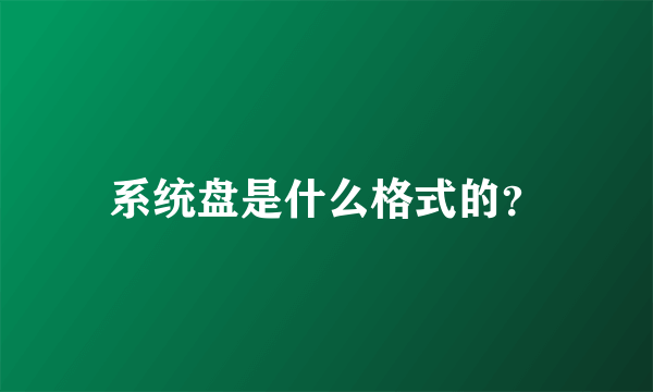 系统盘是什么格式的？