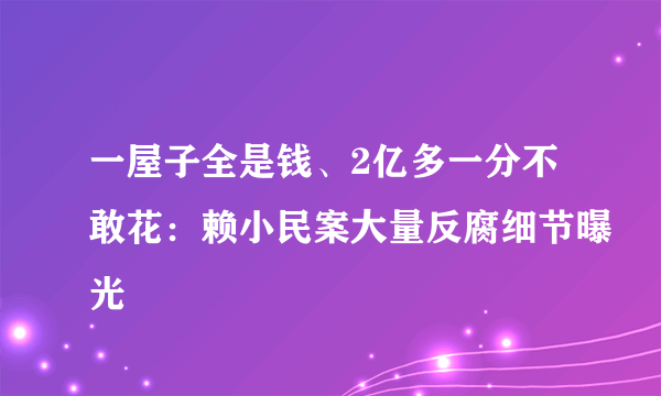 一屋子全是钱、2亿多一分不敢花：赖小民案大量反腐细节曝光