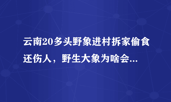 云南20多头野象进村拆家偷食还伤人，野生大象为啥会入侵人类生活地方？