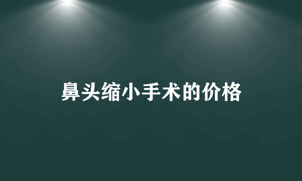 鼻头缩小手术的价格