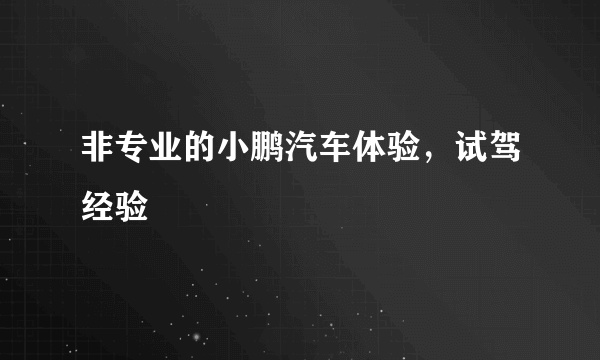 非专业的小鹏汽车体验，试驾经验