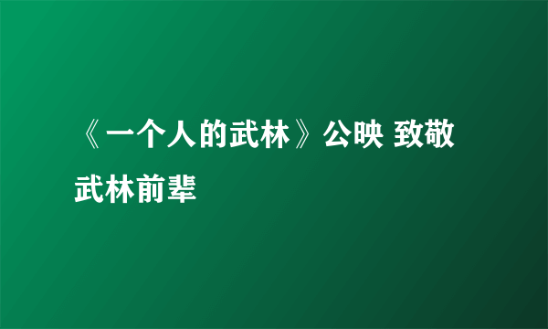 《一个人的武林》公映 致敬武林前辈