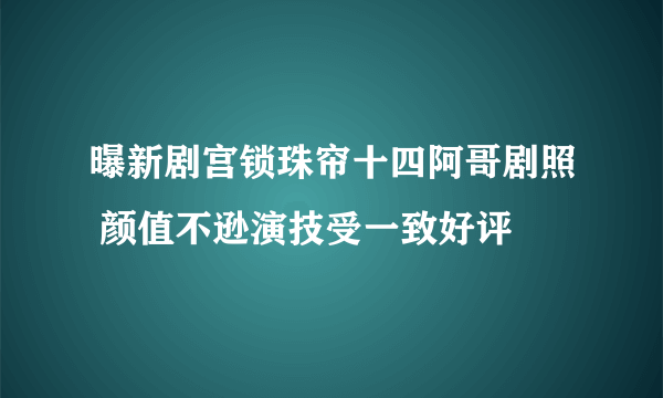 曝新剧宫锁珠帘十四阿哥剧照 颜值不逊演技受一致好评