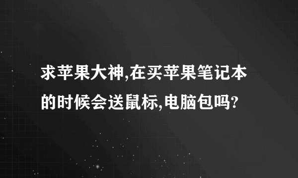 求苹果大神,在买苹果笔记本的时候会送鼠标,电脑包吗?