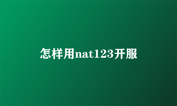 怎样用nat123开服