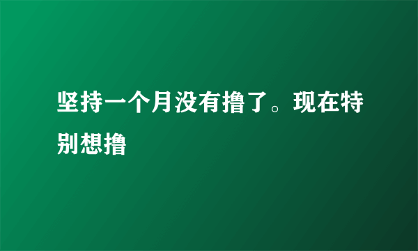 坚持一个月没有撸了。现在特别想撸