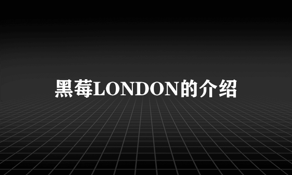 黑莓LONDON的介绍