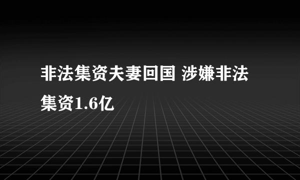 非法集资夫妻回国 涉嫌非法集资1.6亿