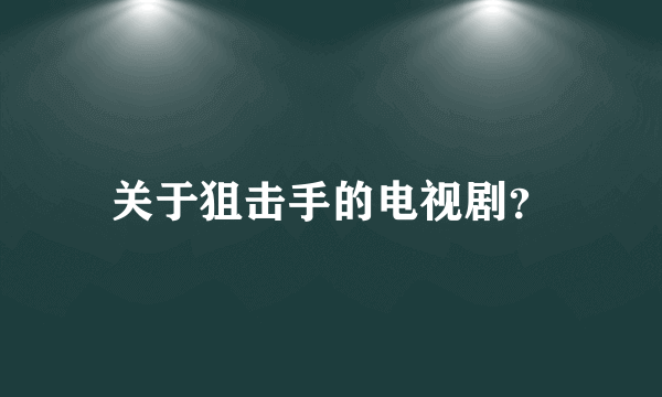 关于狙击手的电视剧？