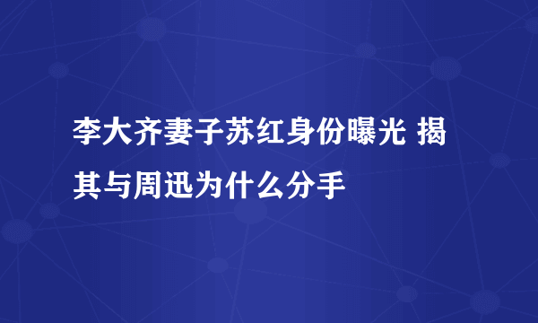 李大齐妻子苏红身份曝光 揭其与周迅为什么分手