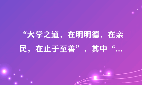 “大学之道，在明明德，在亲民，在止于至善”，其中“至善”的意思为（）