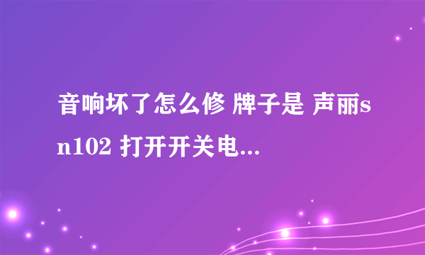 音响坏了怎么修 牌子是 声丽sn102 打开开关电源灯不亮 插U盘 、电脑上 都没声音