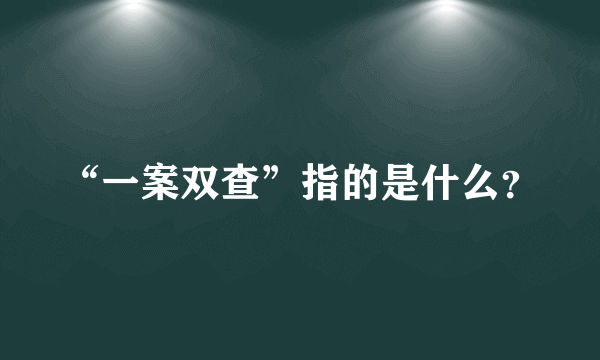 “一案双查”指的是什么？