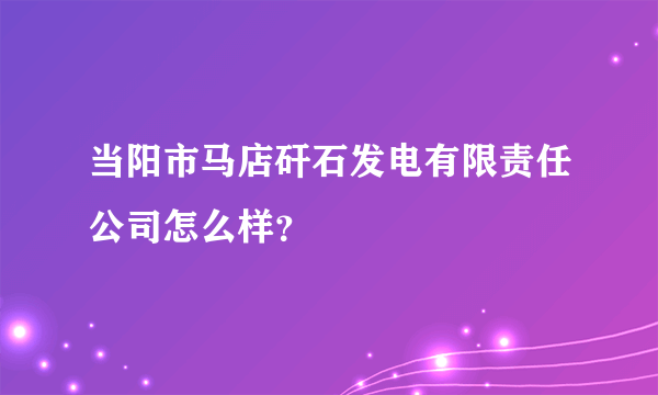 当阳市马店矸石发电有限责任公司怎么样？