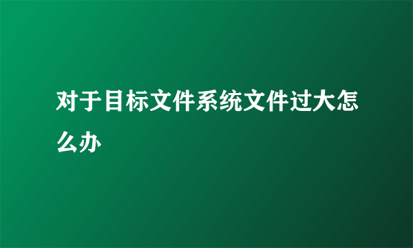 对于目标文件系统文件过大怎么办