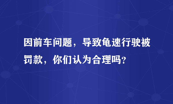 因前车问题，导致龟速行驶被罚款，你们认为合理吗？