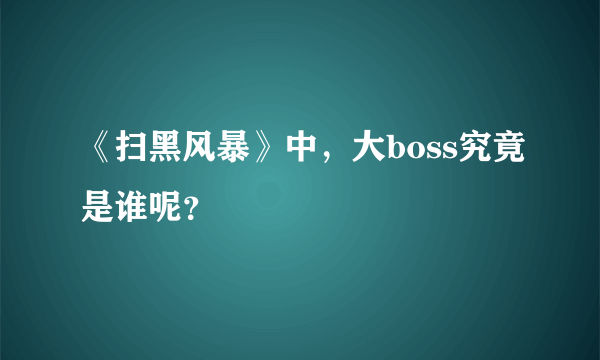 《扫黑风暴》中，大boss究竟是谁呢？