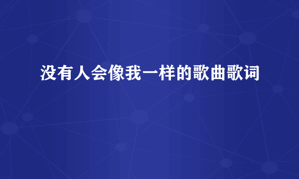 没有人会像我一样的歌曲歌词