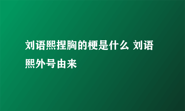 刘语熙捏胸的梗是什么 刘语熙外号由来