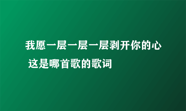 我愿一层一层一层剥开你的心 这是哪首歌的歌词