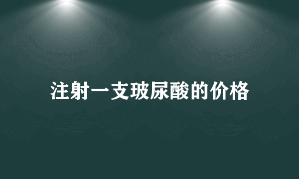 注射一支玻尿酸的价格