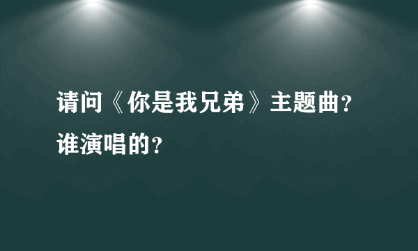 请问《你是我兄弟》主题曲？谁演唱的？