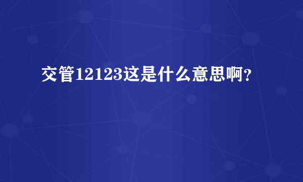 交管12123这是什么意思啊？